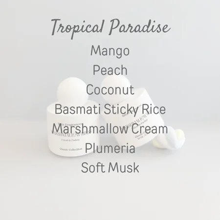 Briix Classic Collection