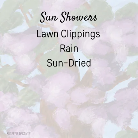 Morari Spring Summer